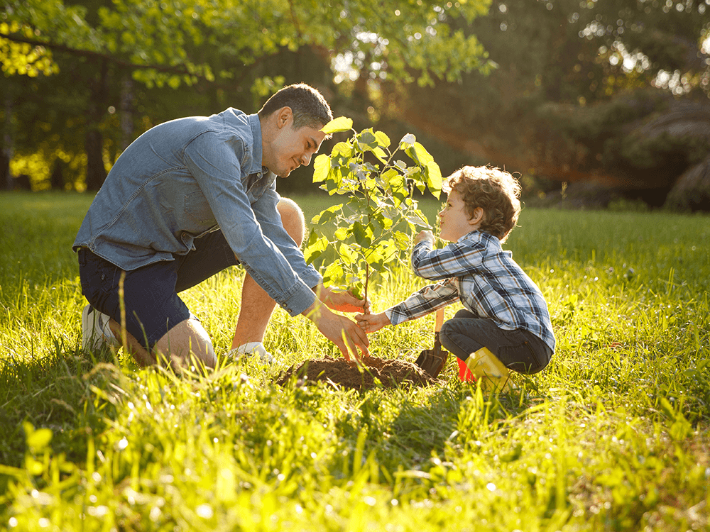 Man and boy planting tree